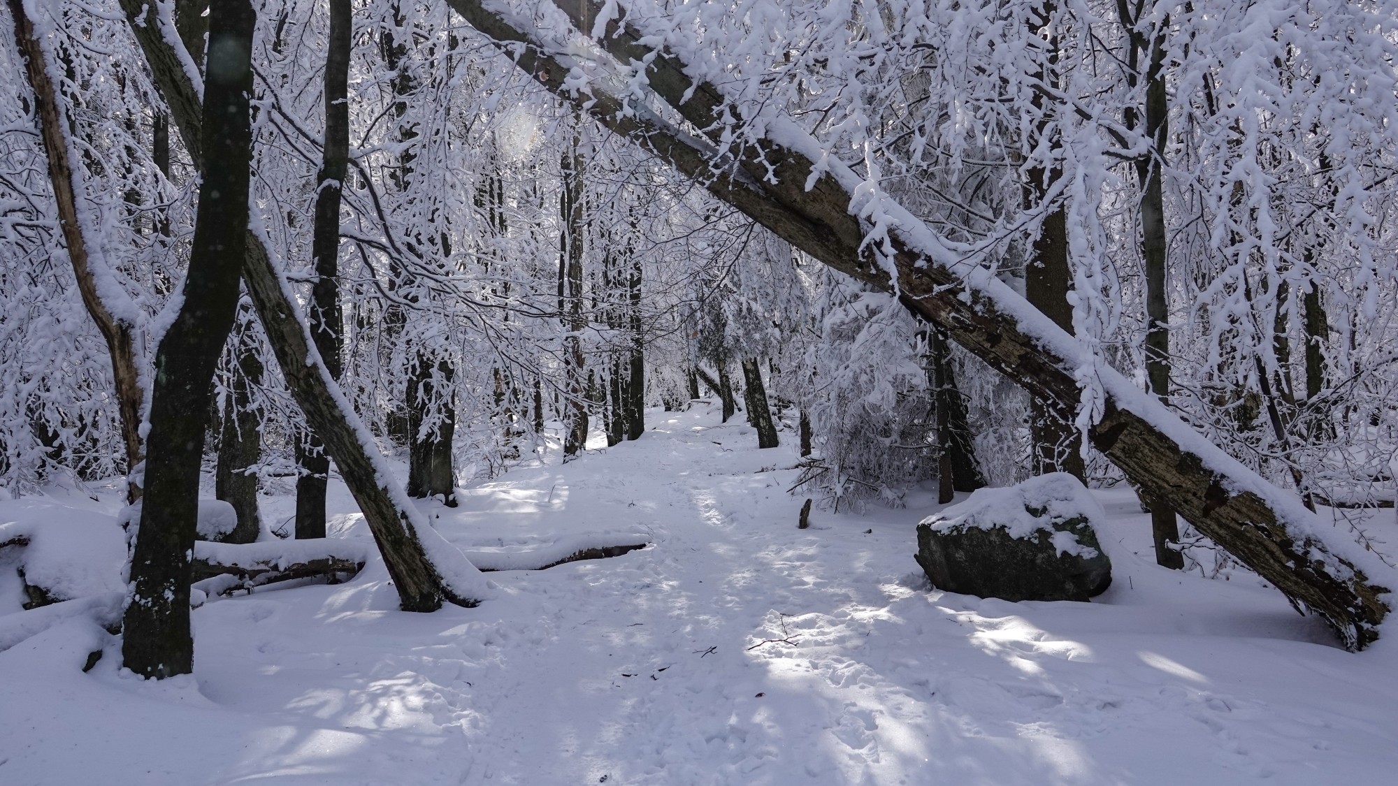 Kraina Narnii - zdjęcie 10