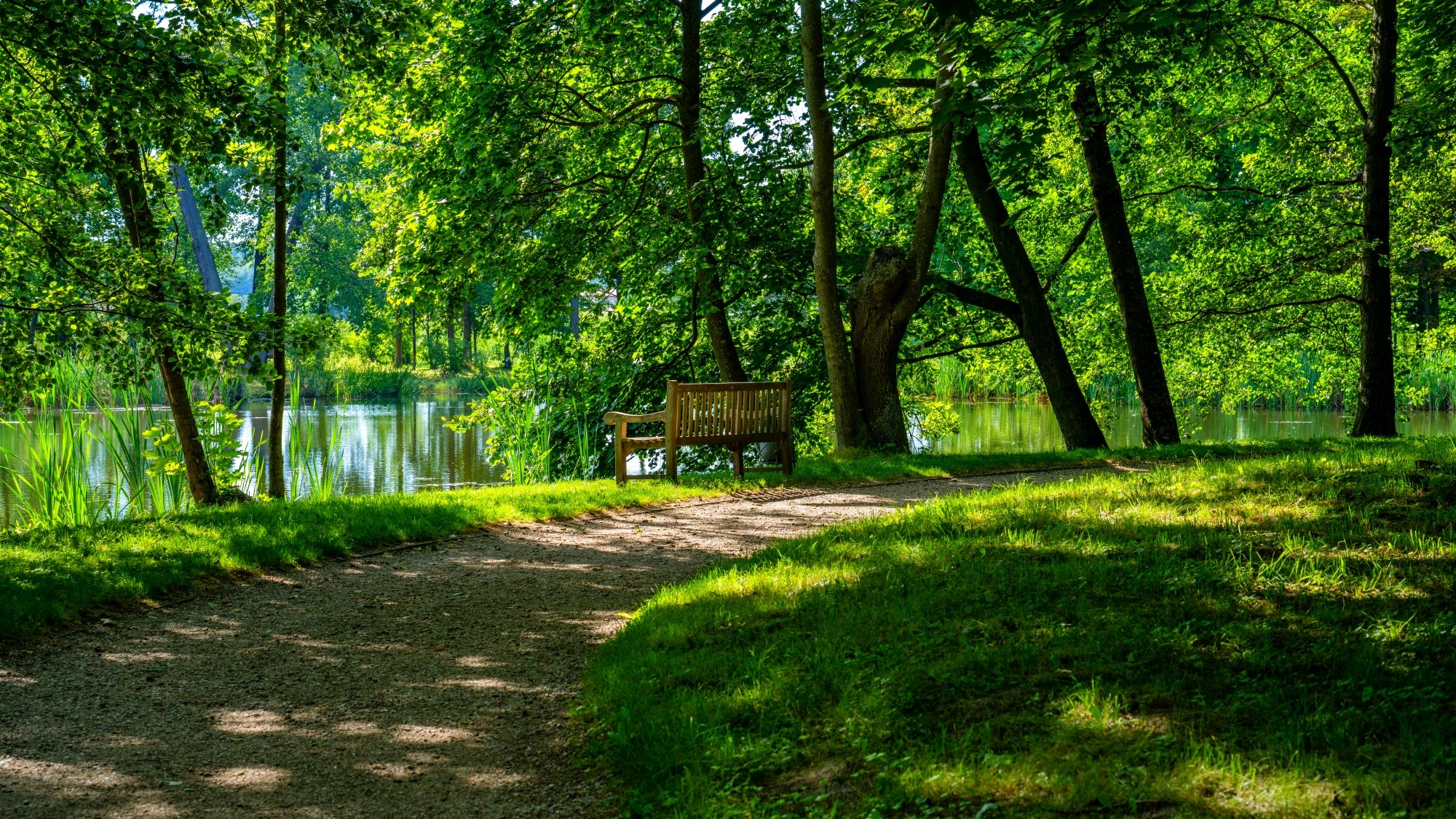 Wśród natury - zdjęcie 34