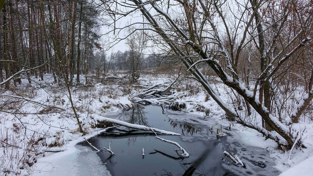 Styczeń w obiektywie - zdjęcie 4