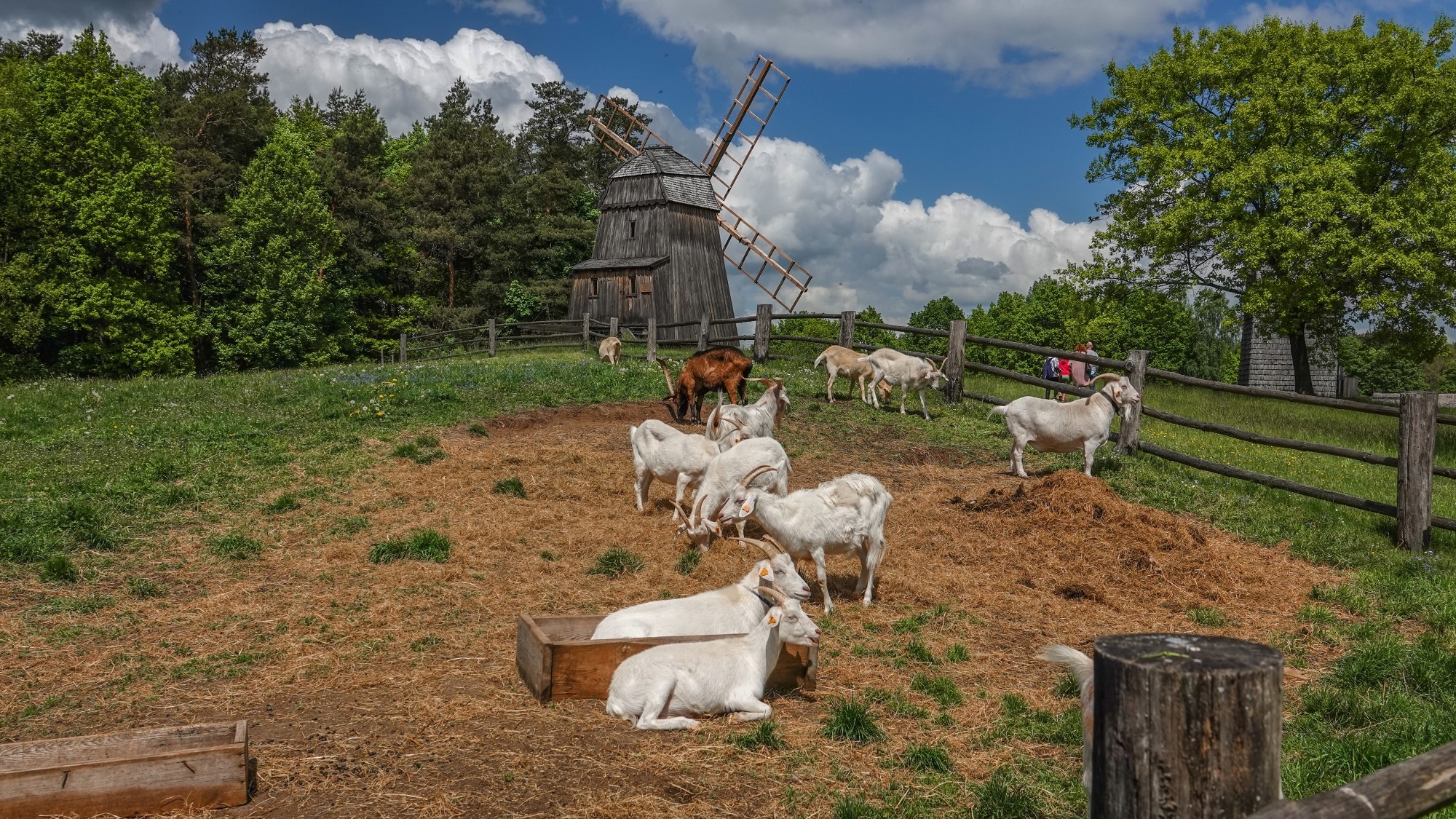 Wakacyjne podróże - zdjęcie 35