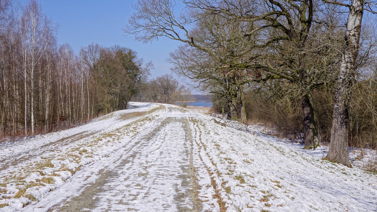 Marzec w obiektywie - zdjęcie 32