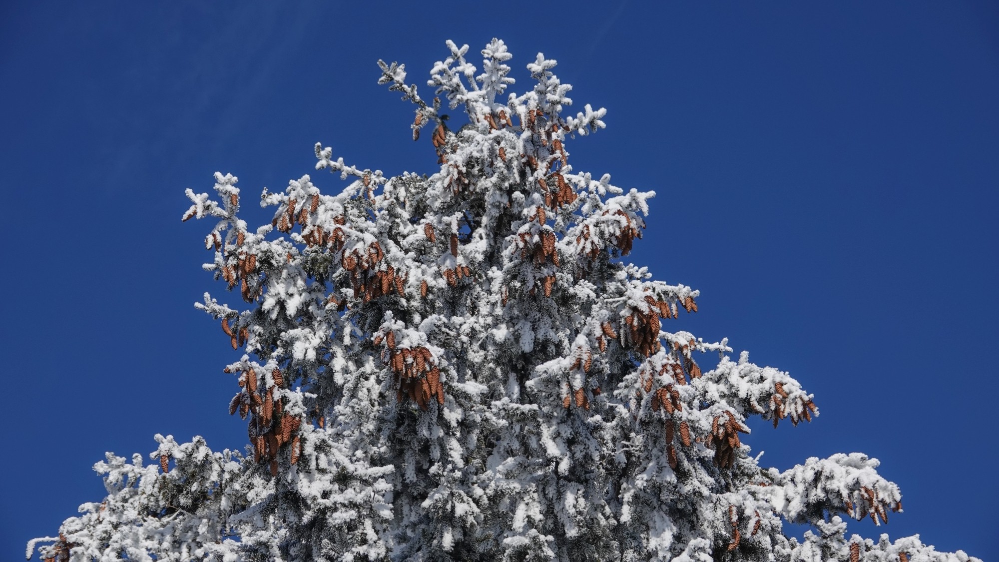 Kraina Narnii - zdjęcie 41