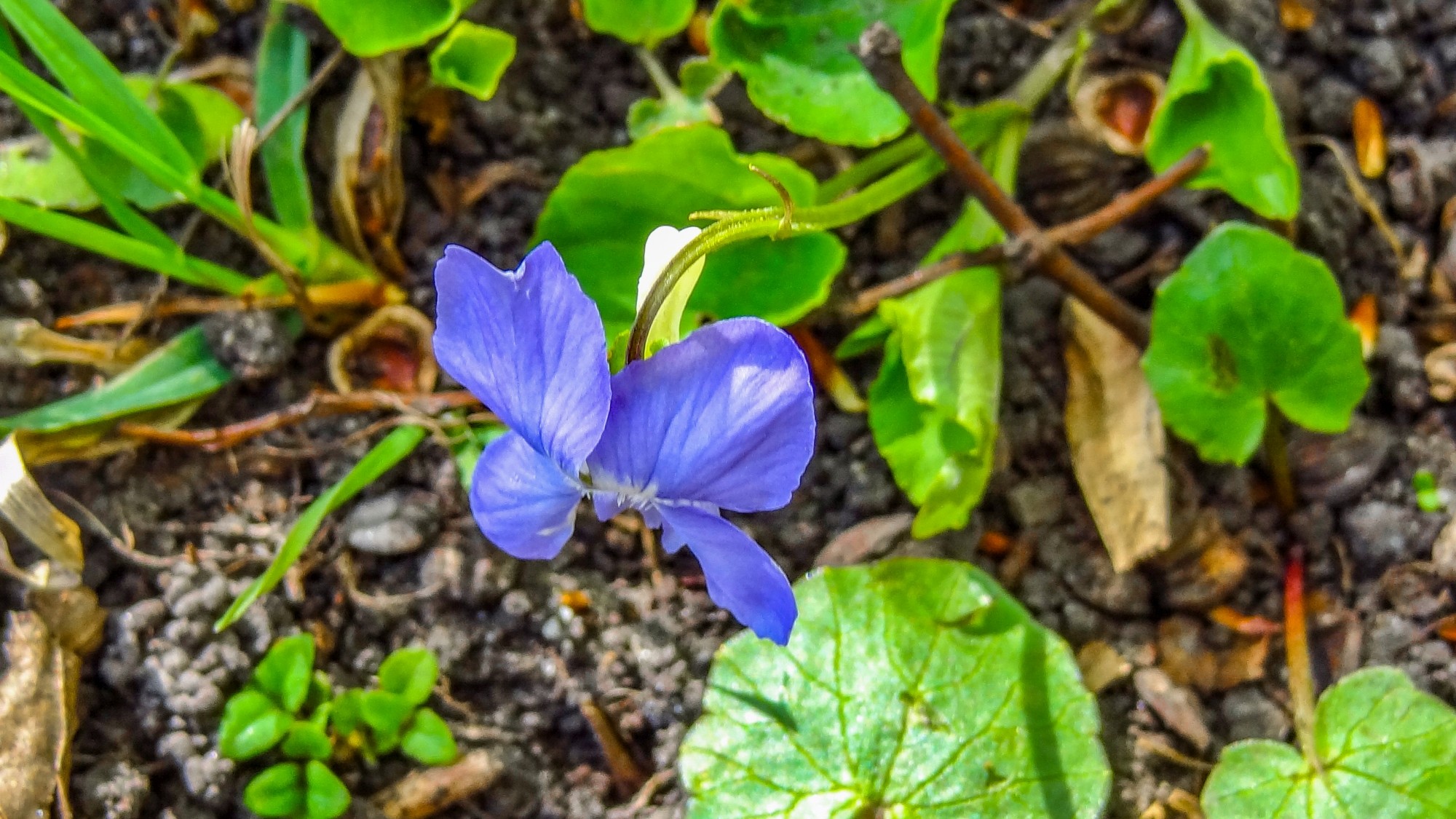 Wiosenna pobudka - zdjęcie 18