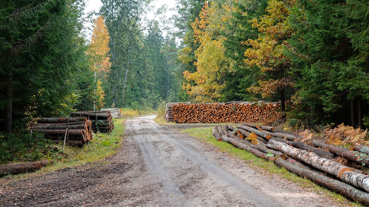 Jesienne krajobrazy za miastem - zdjęcie 27