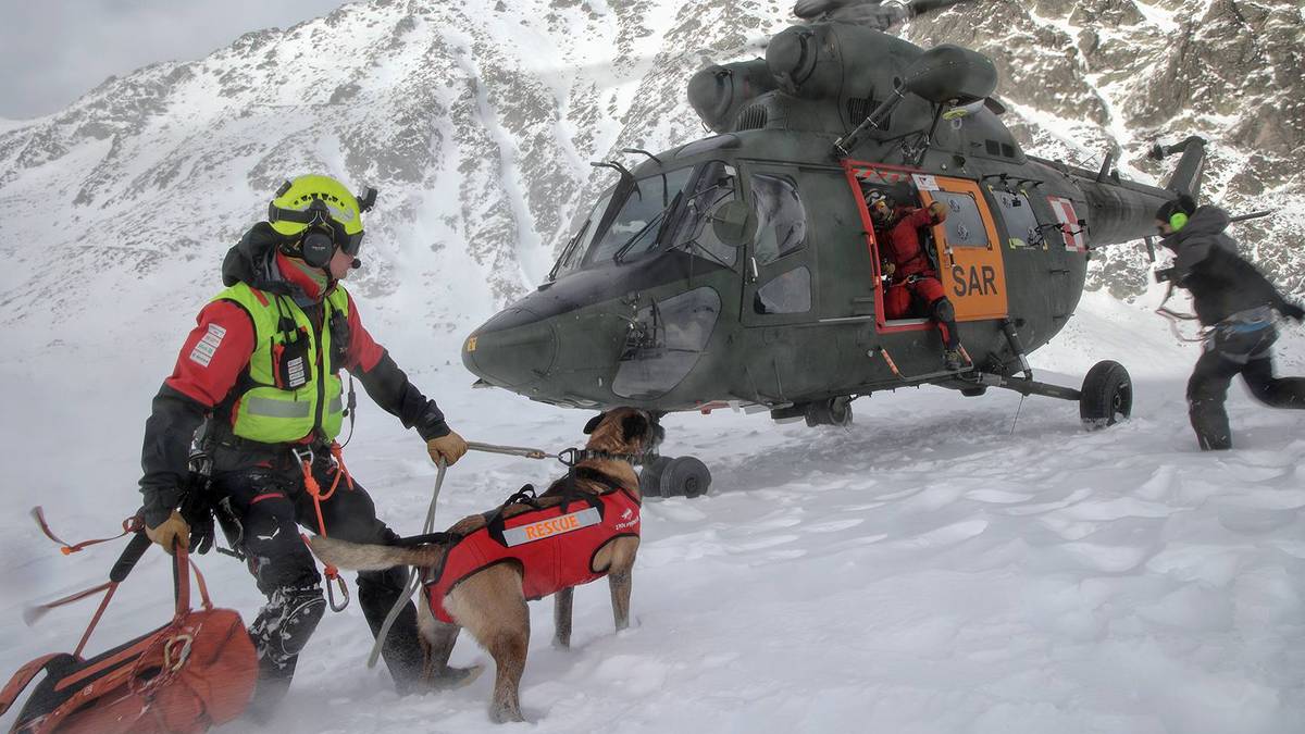Ratownik górski z psem ratowniczym i śmigłowcem SAR w zimowych warunkach.