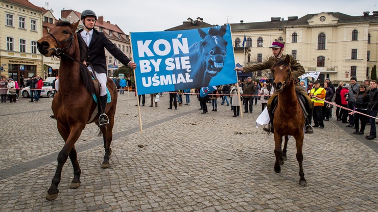 "Koń by się uśmiał" – w Bydgoszczy protestują przeciwko zmianom w stadninach