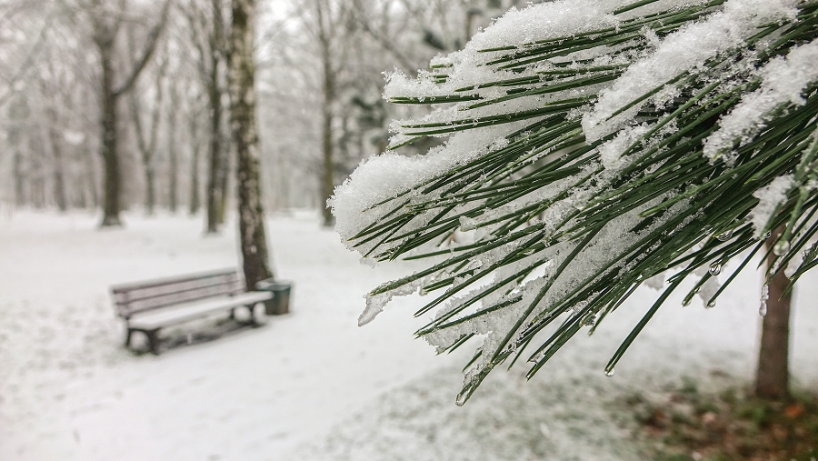 24.01.2019 11:00 Znów mocniej sypnie śniegiem. Przybędzie go nawet 7 cm. W których regionach Polski?