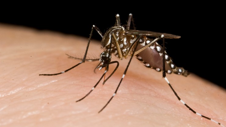 Groźna odmiana malarii rozprzestrzenia się w Azji. "Nie do opanowania" - alarmują lekarze