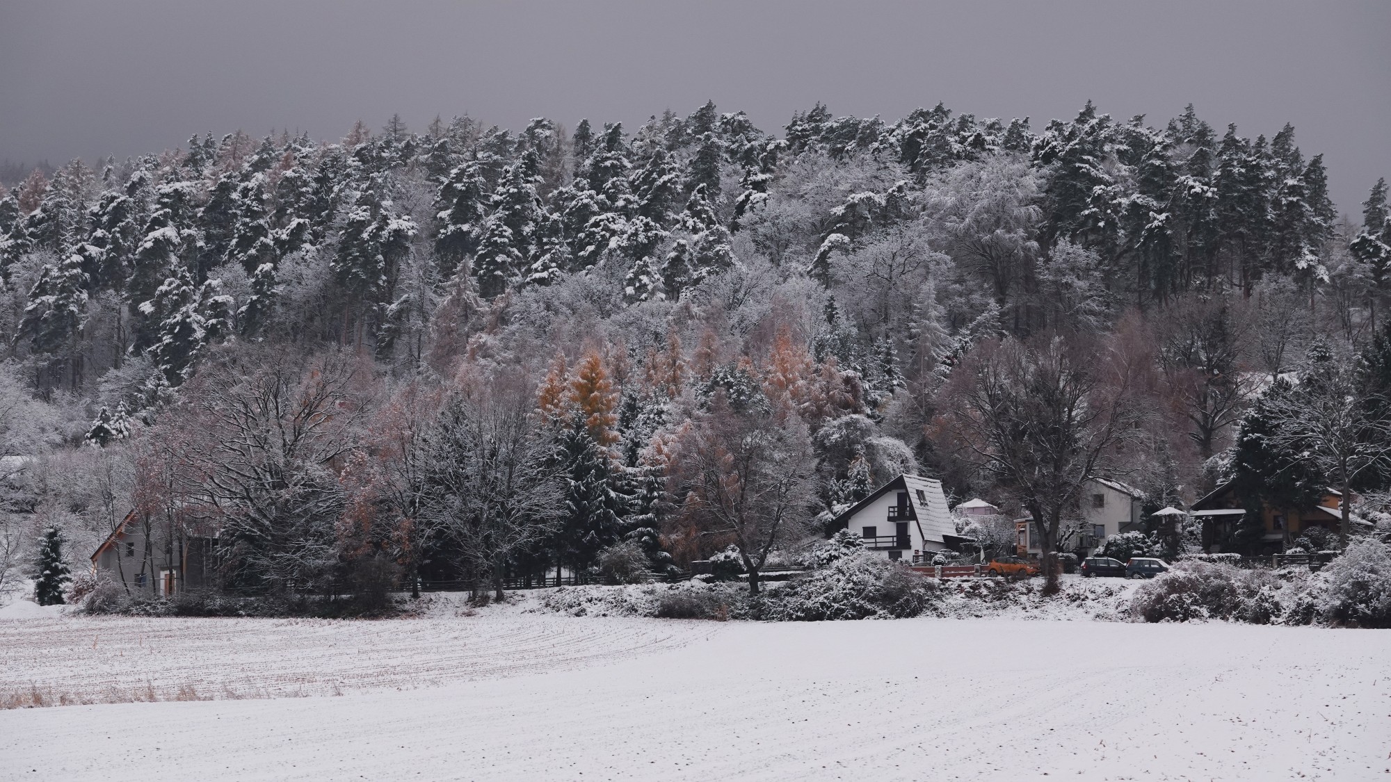 Oblicza zimy - zdjęcie 30