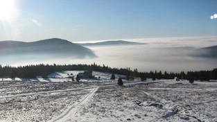 05.12.2019 09:00 Dzięki bezchmurnemu niebu satelita ujawnia, gdzie w Polsce leży śnieg. Zobacz go na zdjęciu