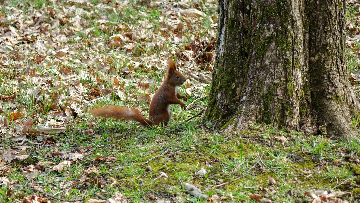 Marzec w obiektywie - zdjęcie 21