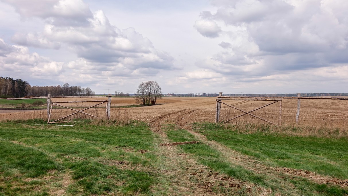 Powiewy wiosny - zdjęcie 23