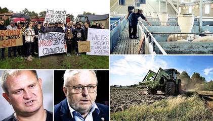 UCIEKLI Z MIASTA NA WIEŚ - POZWALI ROLNIKA O „SMRÓD”