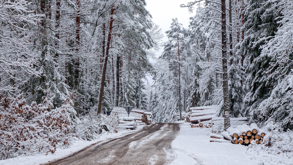 Zakochaj się w Polsce - zdjęcie 18