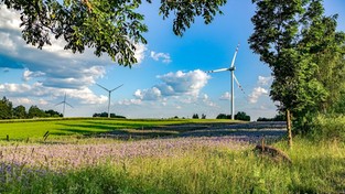 22.04.2023 05:59 Podziwiaj polską przyrodę nie tylko w Dzień Ziemi. Kliknij i zobacz to, czego jeszcze nie widziałeś