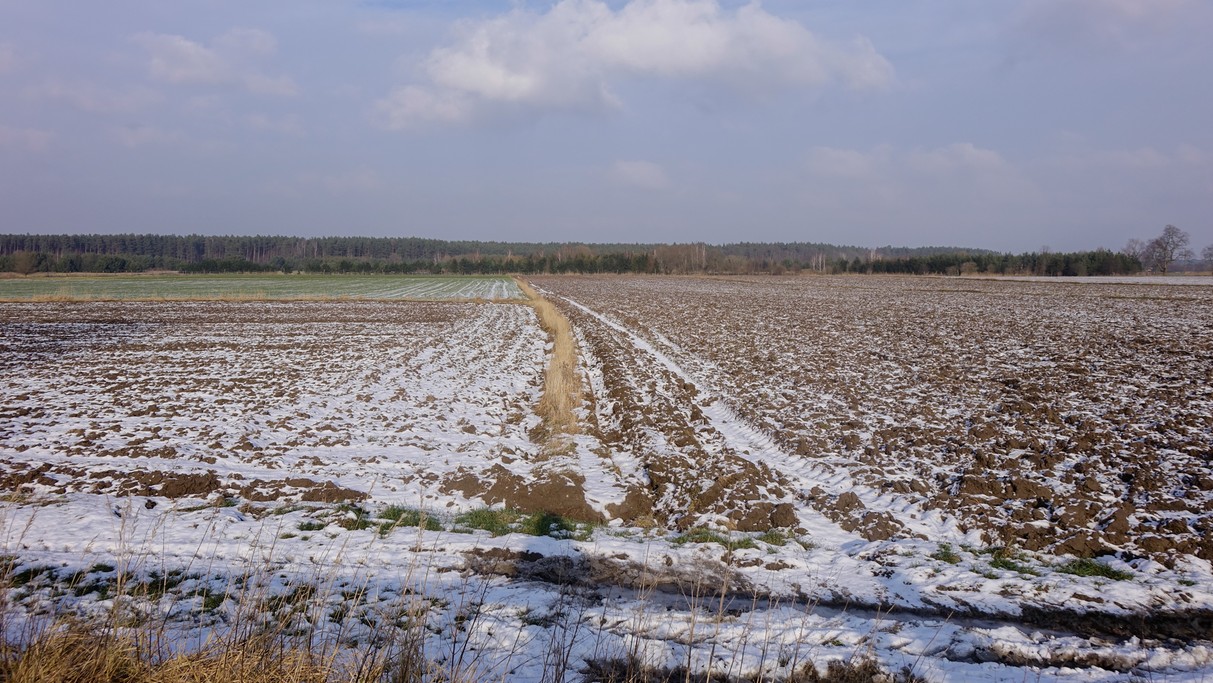 Styczeń w obiektywie - zdjęcie 29