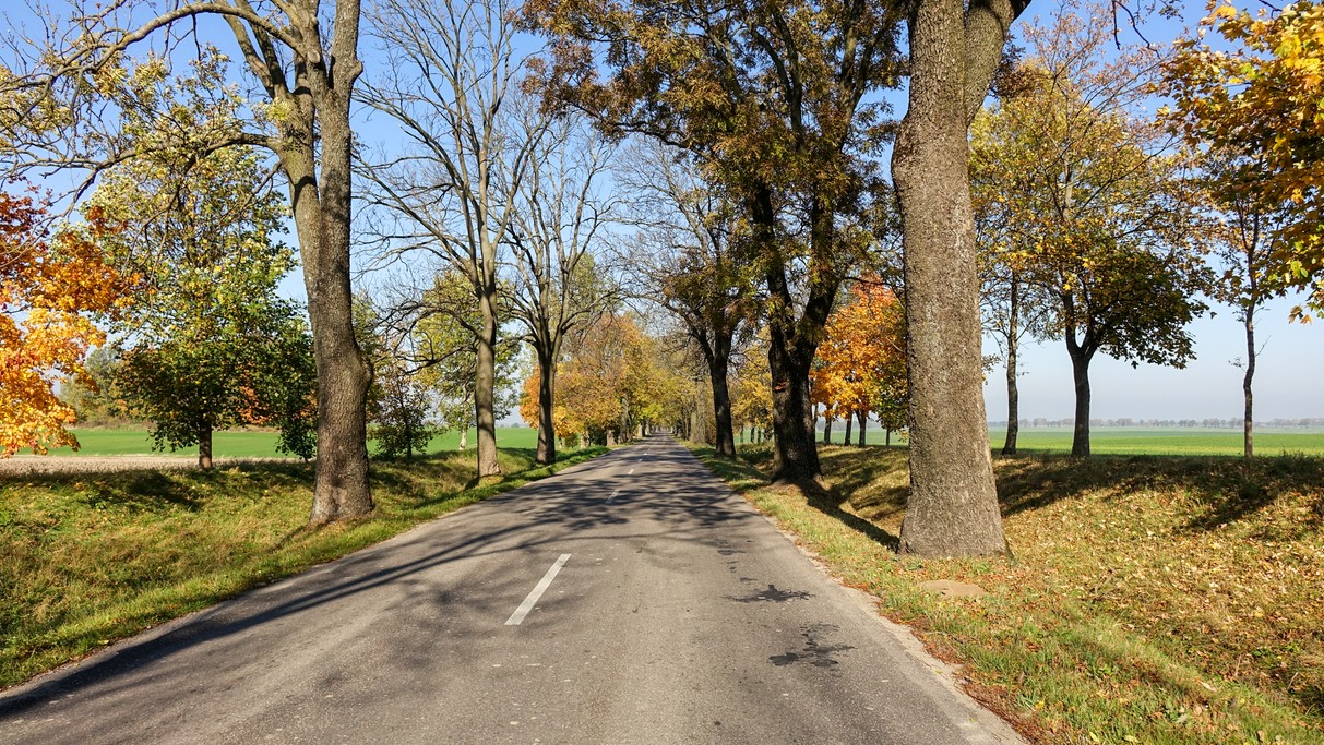 Jesienne krajobrazy za miastem - zdjęcie 33