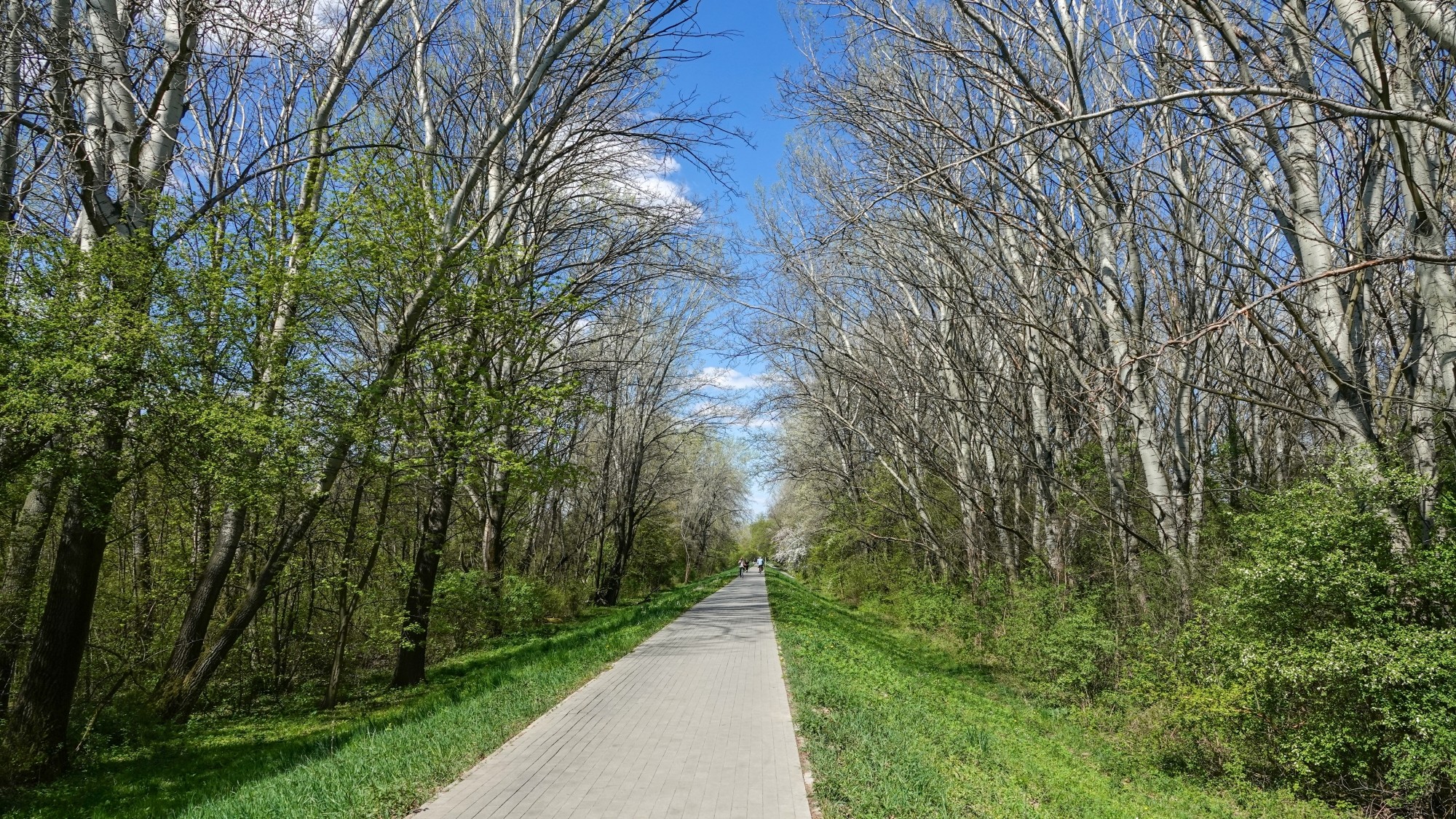 Kwiecień w obiektywie - zdjęcie 33