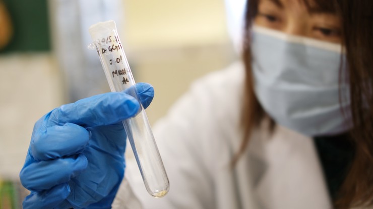 Japonia. Lek na łagodne objawy COVID-19 zostanie po raz pierwszy dopuszczony do obrotu