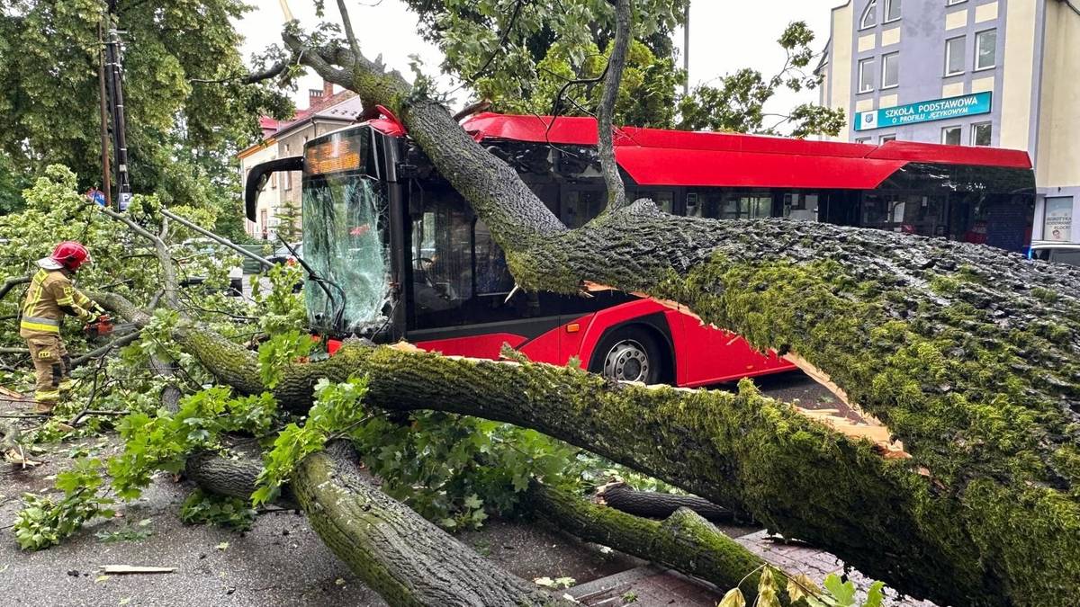 W Żywcu na autobus zwaliło się drzewo. W środku dziesiątki osób