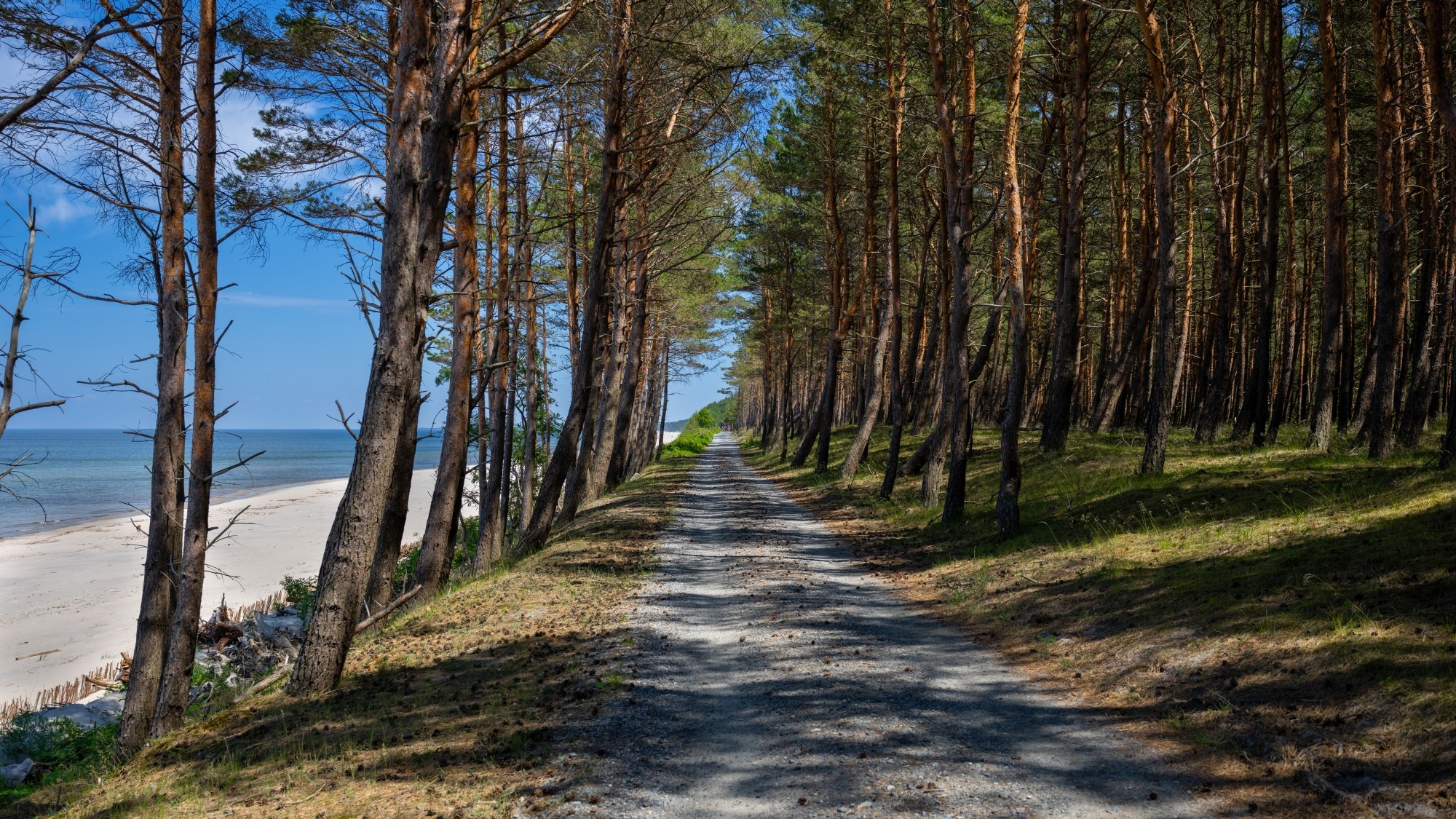 Kolory lata - zdjęcie 11