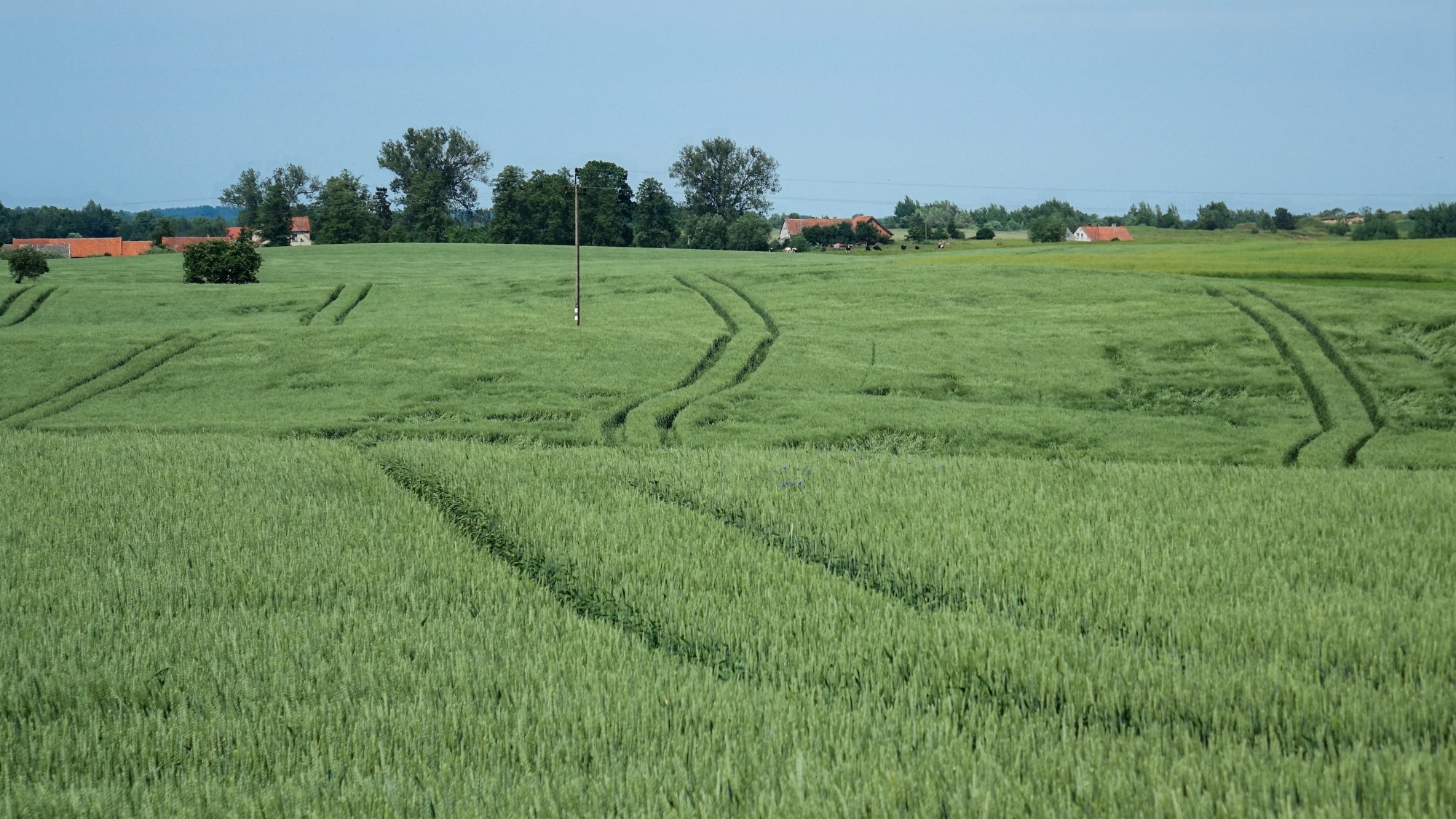 Czerwiec w obiektywie - zdjęcie 24