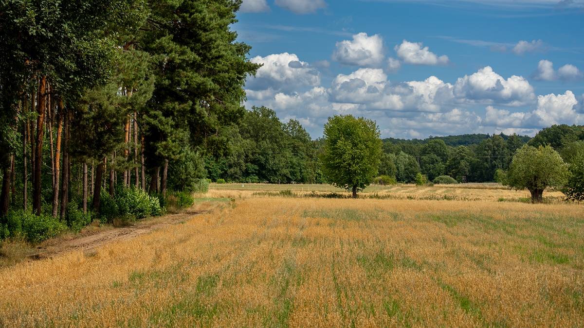 Po pięknej Polsce. Fot. TwojaPogoda.pl