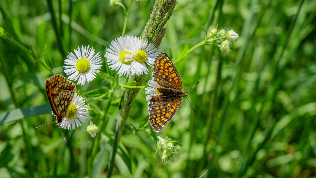Polskie krajobrazy w 2018 roku - zdjęcie 29