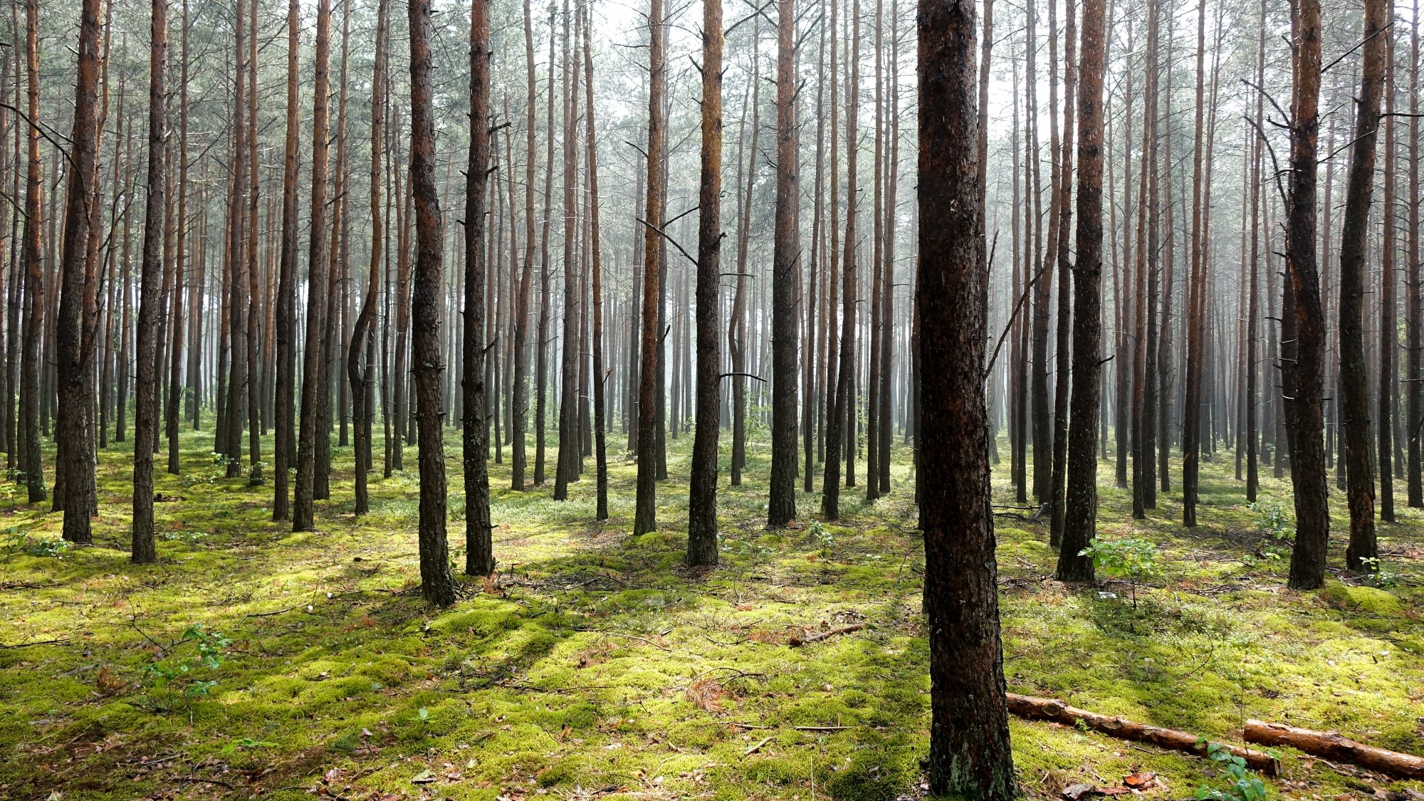 Całe piękno polskiej prowincji - zdjęcie 32
