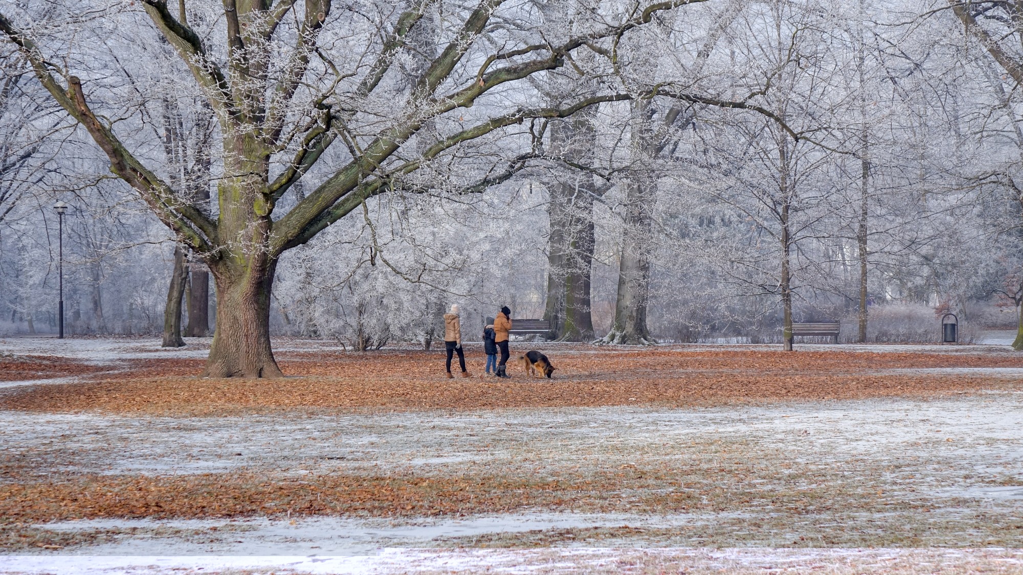 Odkryj piękno Polski w wakacje - zdjęcie 93