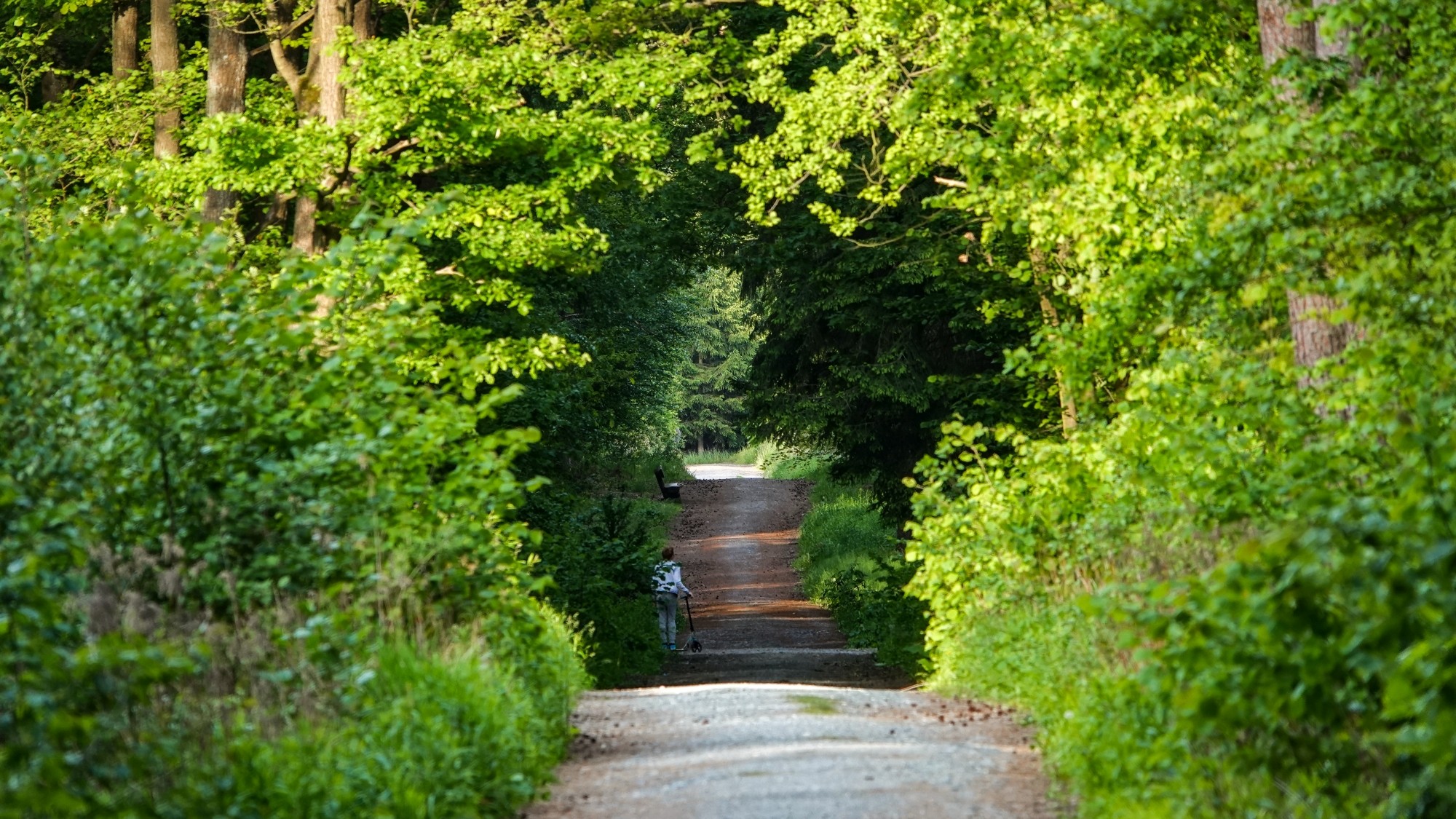 Uroki zielonej pory roku - zdjęcie 35