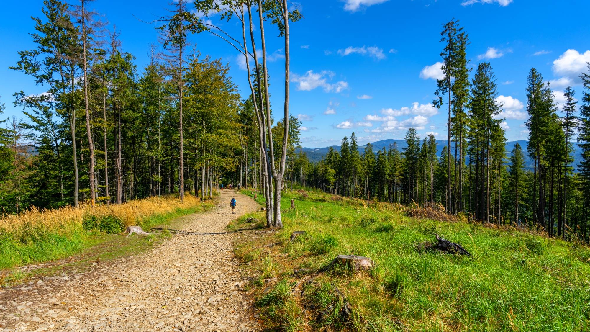 Kolory lata - zdjęcie 18