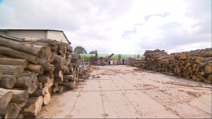 Rekordowy popyt na drewno opałowe w Polsce. "Nie starczy go dla wszystkich"