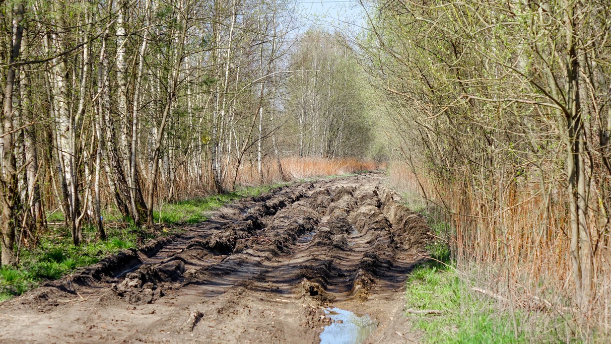 Kwiecień w obiektywie - zdjęcie 55