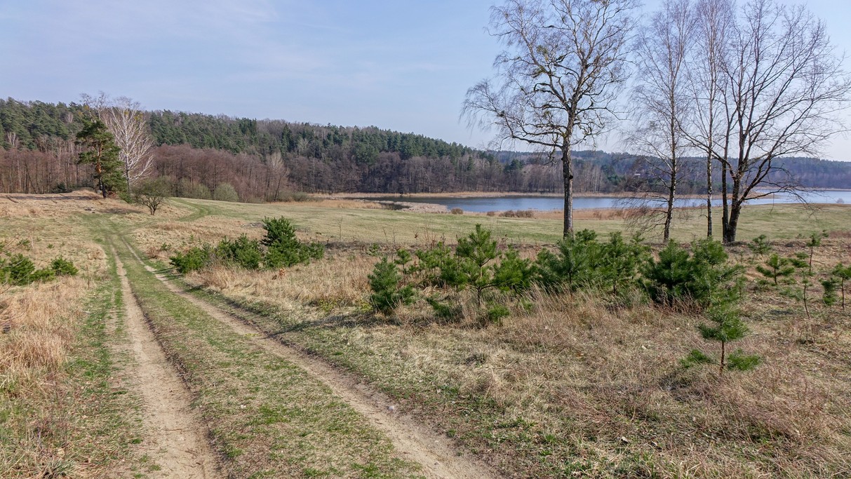 Powiewy wiosny - zdjęcie 20