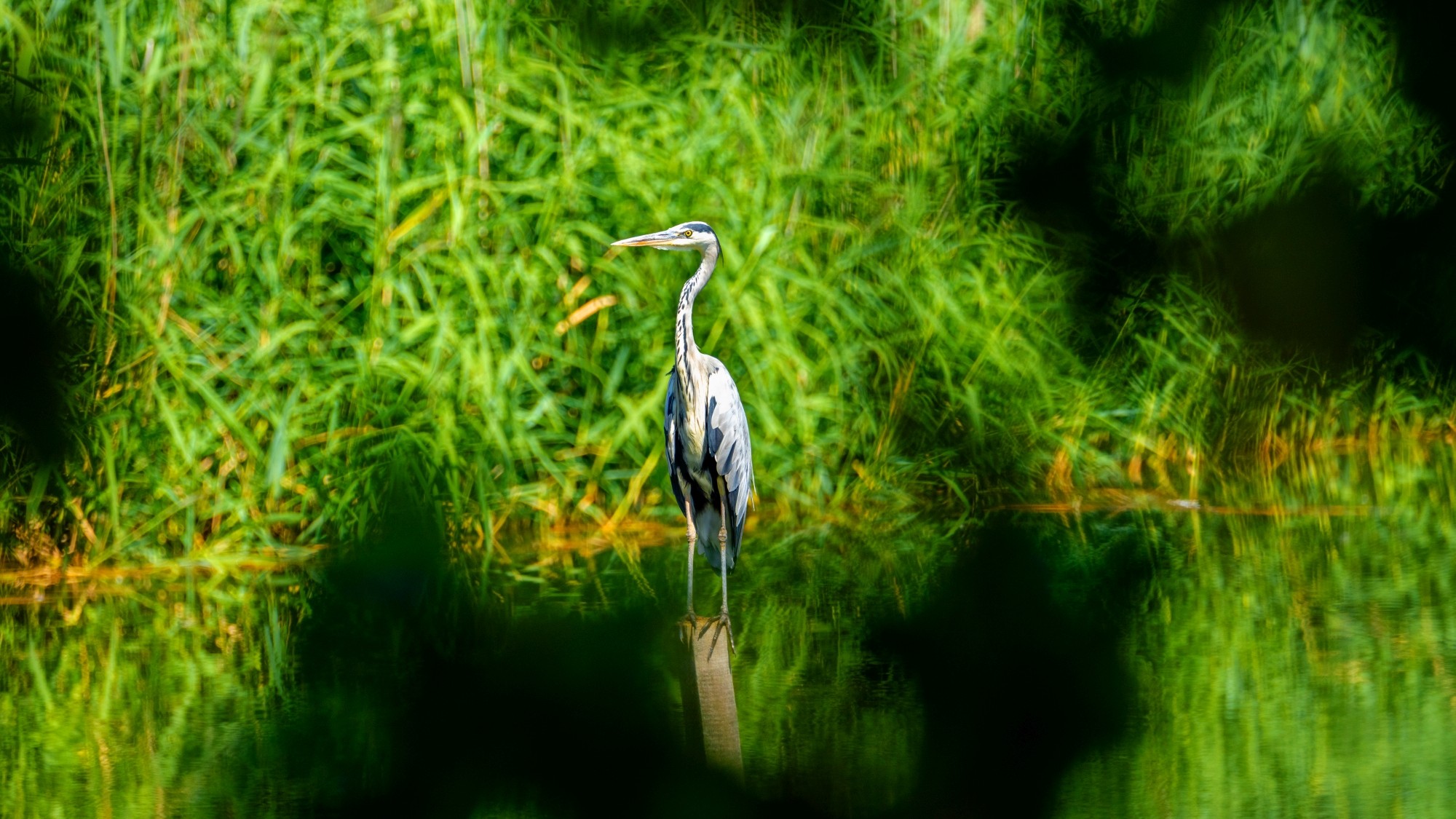 Wśród natury - zdjęcie 5