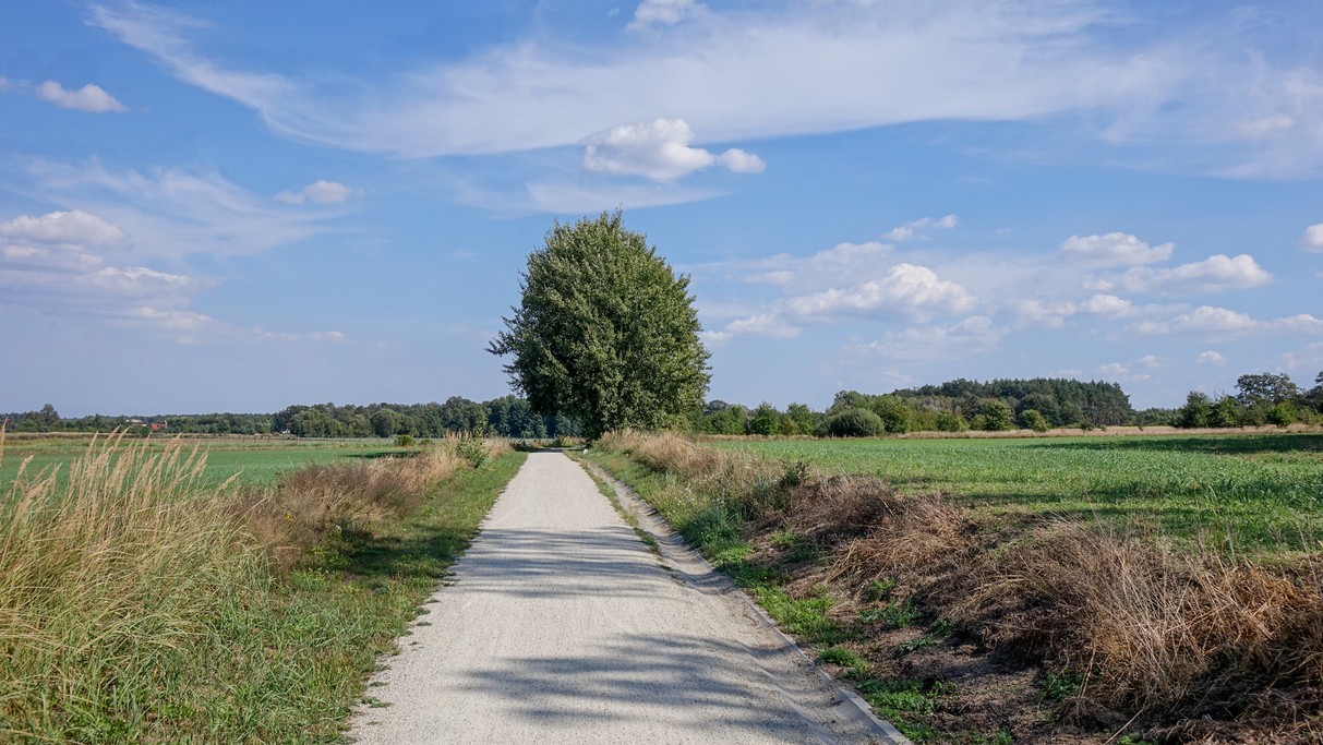 Wrzesień w obiektywie - zdjęcie 6