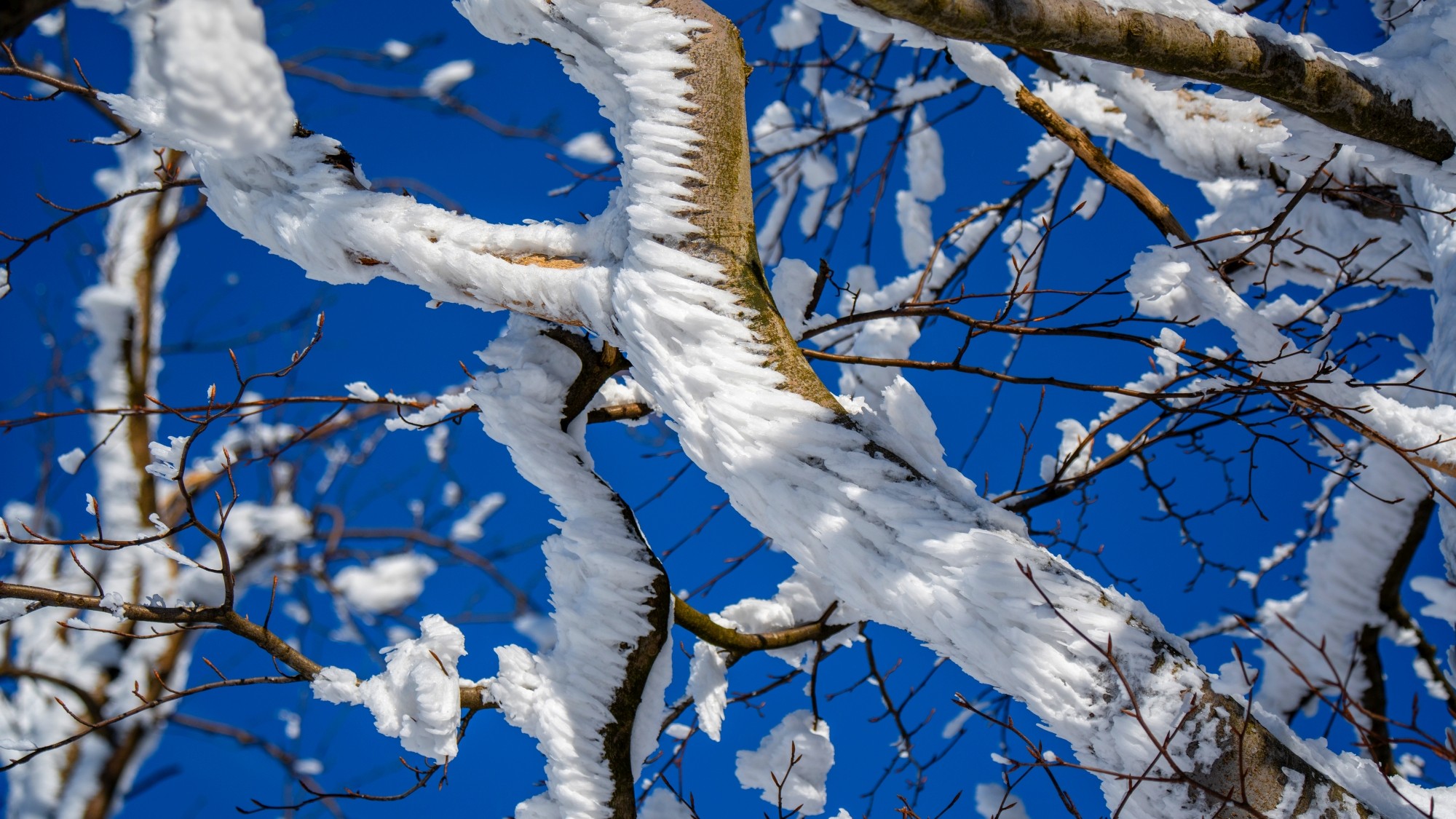 Zima w górach - zdjęcie 9