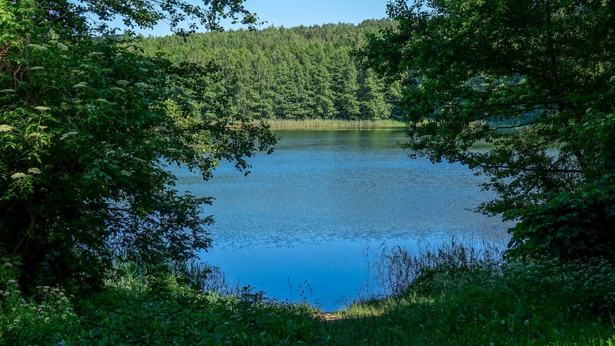 Czerwiec w obiektywie - zdjęcie 43