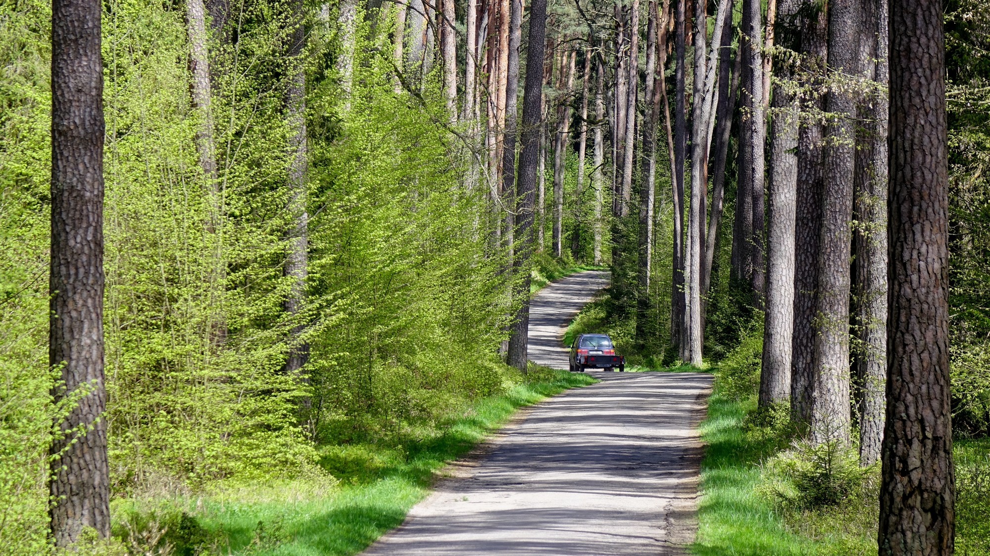 Drogą do raju - zdjęcie 9