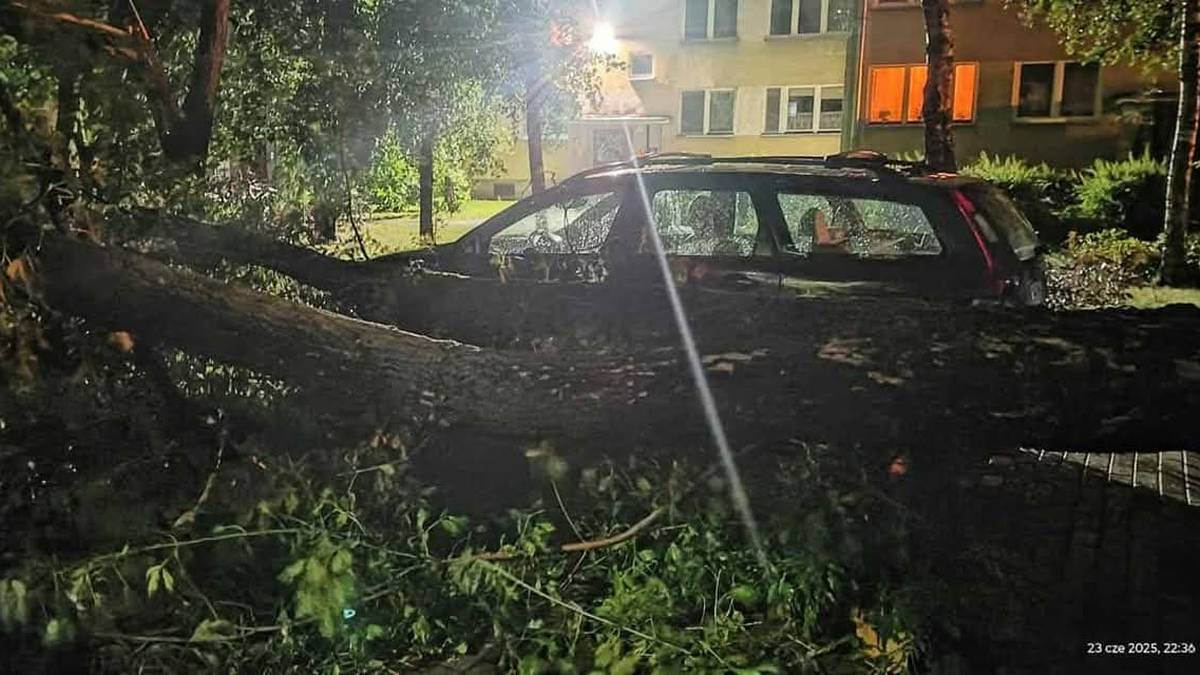 Drzewa łamały się jak zapałki. Krajobraz po nawałnicach nad Polską