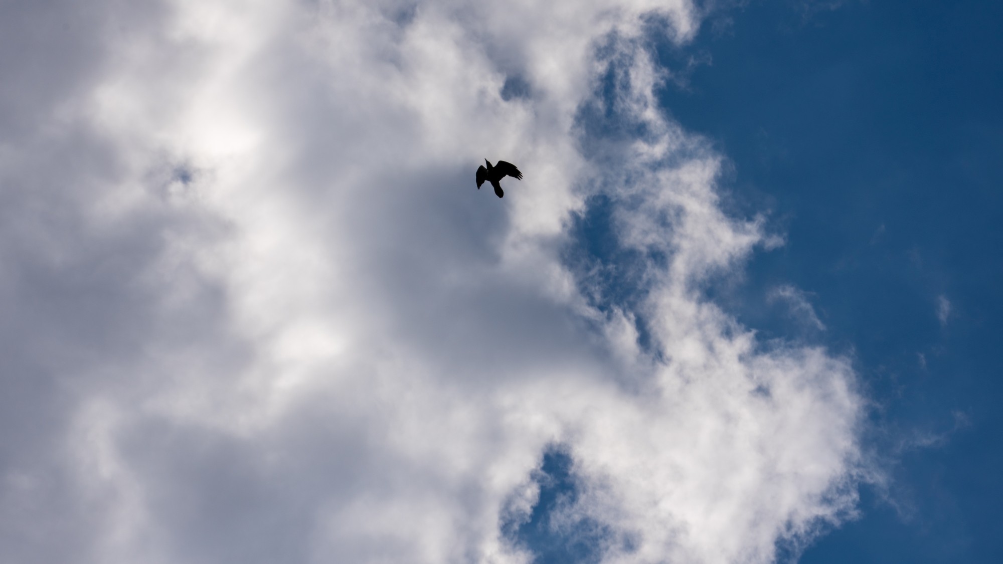 Wiosenna opowieść - zdjęcie 43