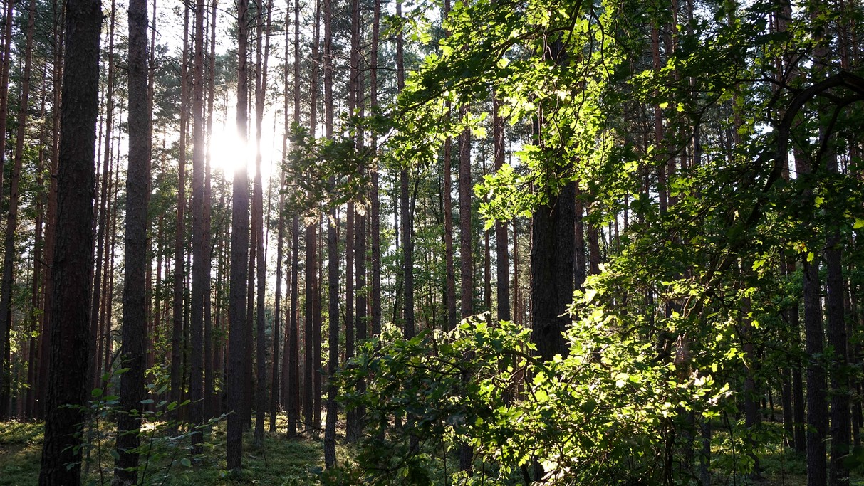 Lipiec w obiektywie - zdjęcie 45