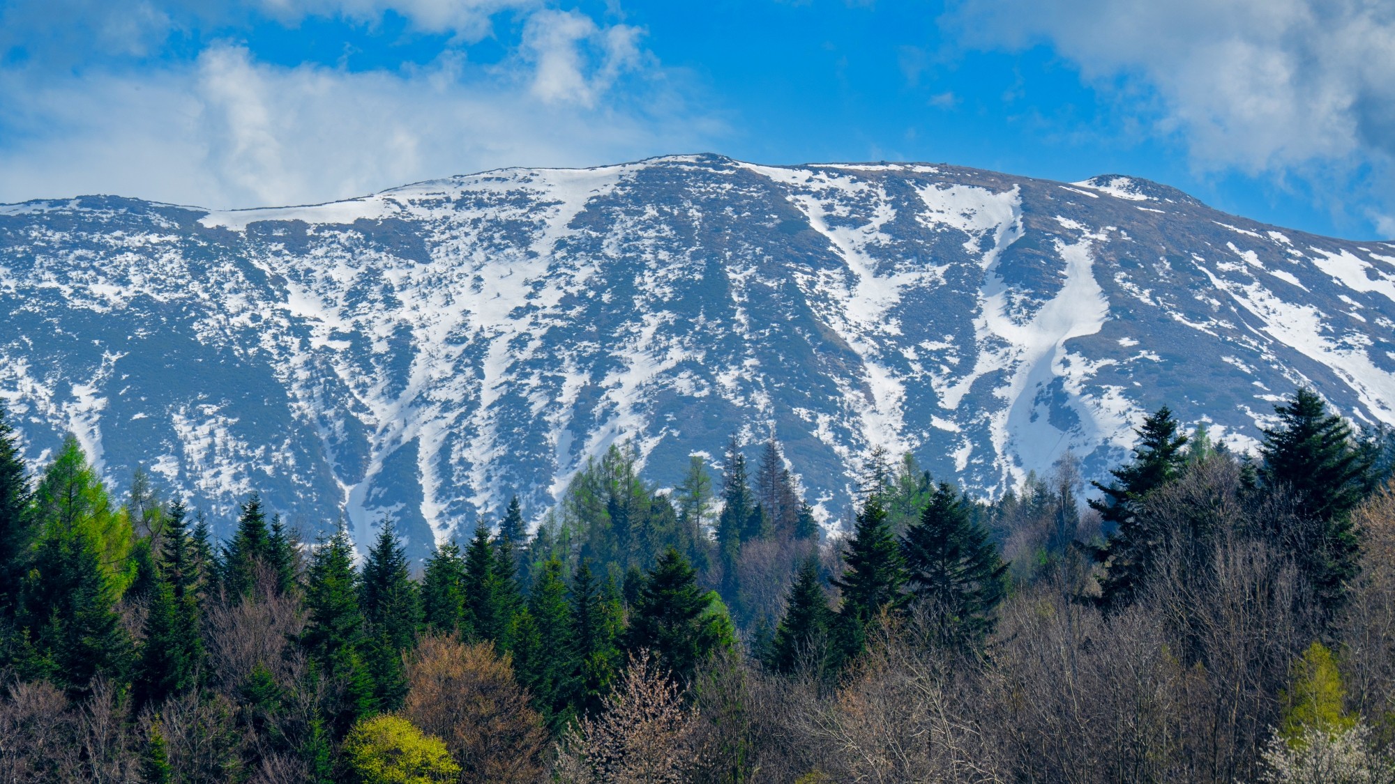 Zachwycający maj - zdjęcie 8