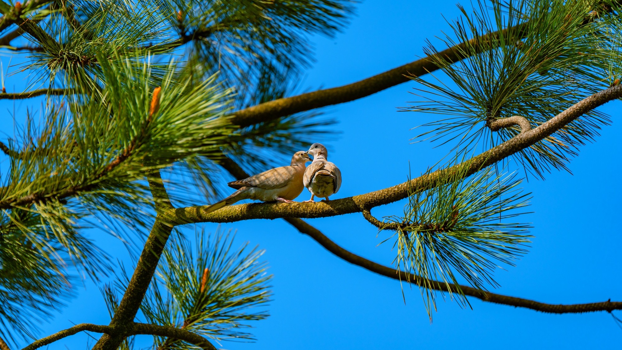 Zachwycający maj - zdjęcie 9