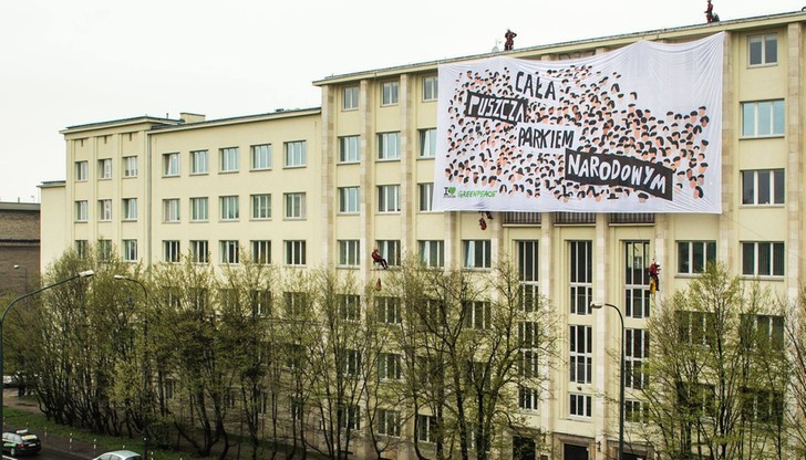 Akcja Greenpeace. "Cała Puszcza Białowieska parkiem narodowym"