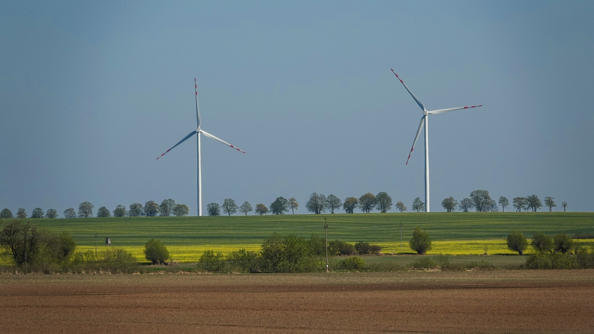 W maju jak w raju - zdjęcie 30