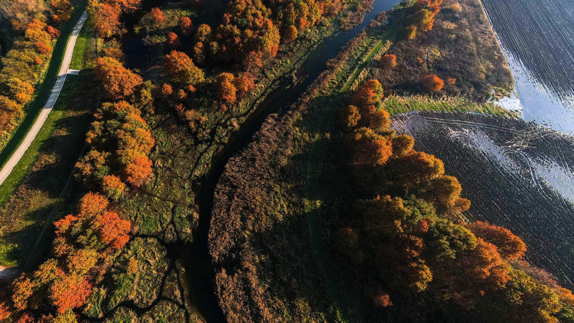 Jesień w Polsce z lotu ptaka - zdjęcie 23