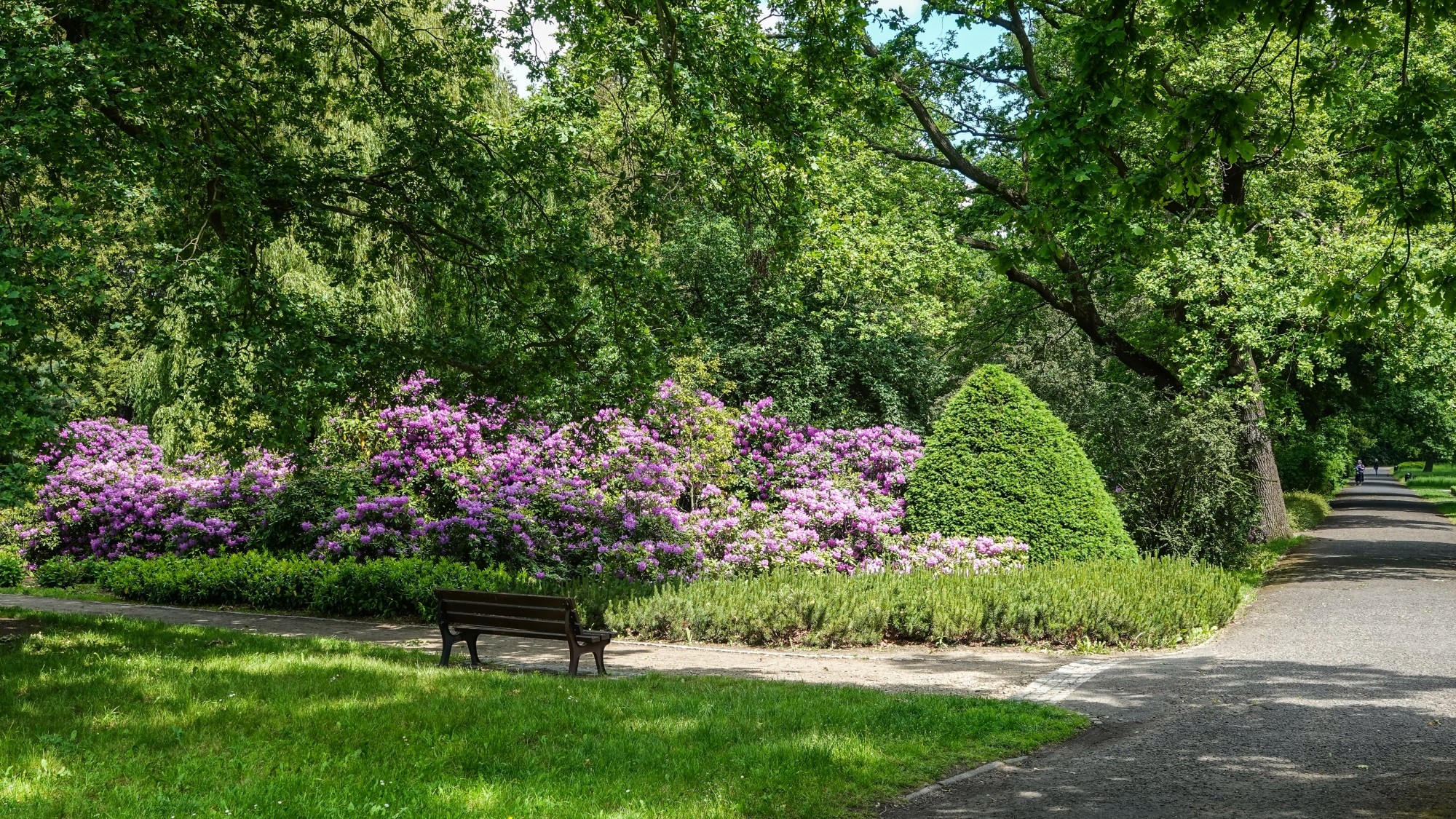 Uroki zielonej pory roku - zdjęcie 7
