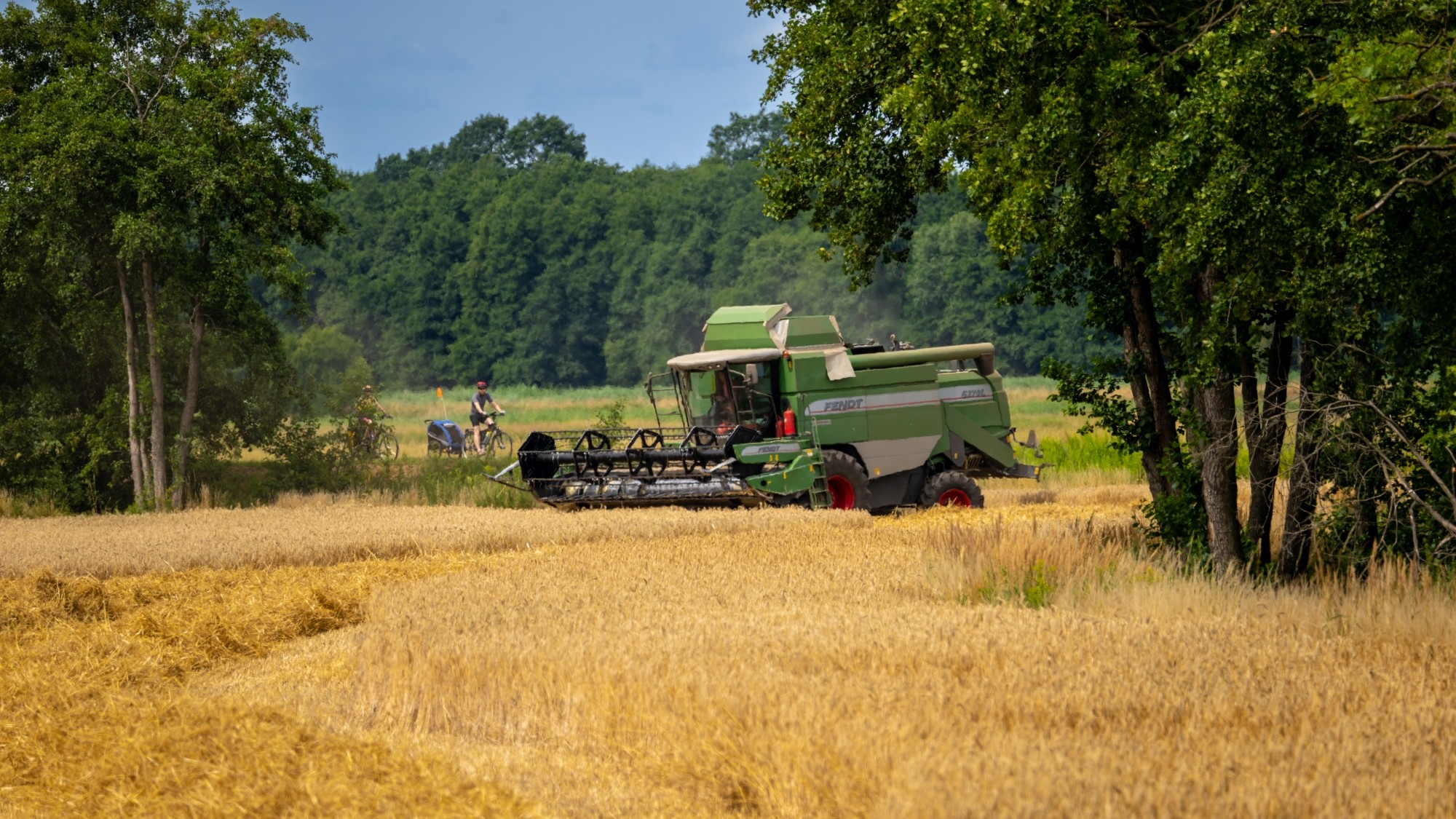 Kolory lata - zdjęcie 28